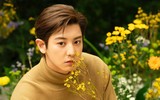 [ẢNH] Điểm danh 3 'sao' nam nhà SM vướng vào lùm xùm tình ái