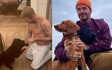 David Beckham cởi trần khoe thân hình săn chắc, tiết lộ bí quyết trẻ lâu ở tuổi 46