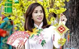 [ẢNH] Những Hoa hậu 'lóa mắt' trước tiền 'bẩn', đánh mất mình trên con đường lợi danh