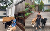 Tăng Thanh Hà và chồng đại gia ‘khoe’ tình cảm mặn nồng sau 9 năm hôn nhân 