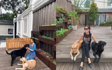 Tăng Thanh Hà và chồng đại gia ‘khoe’ tình cảm mặn nồng sau 9 năm hôn nhân 