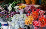 Sắc Tết rực rỡ tại chợ hoa đầu mối lớn nhất Hà thành