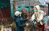 Sắc Tết rực rỡ tại chợ hoa đầu mối lớn nhất Hà thành