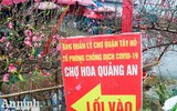 Sắc Tết rực rỡ tại chợ hoa đầu mối lớn nhất Hà thành