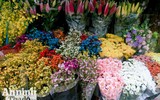 Sắc Tết rực rỡ tại chợ hoa đầu mối lớn nhất Hà thành
