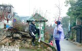 Sắc Tết rực rỡ tại chợ hoa đầu mối lớn nhất Hà thành
