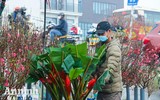Sắc Tết rực rỡ tại chợ hoa đầu mối lớn nhất Hà thành