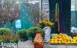 Sắc Tết rực rỡ tại chợ hoa đầu mối lớn nhất Hà thành