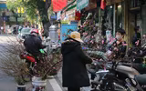 Chợ hoa Hàng Lược rộn ràng đón Tết Nhâm Dần 2022