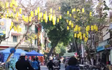 Chợ hoa Hàng Lược rộn ràng đón Tết Nhâm Dần 2022
