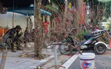 Chợ hoa Hàng Lược rộn ràng đón Tết Nhâm Dần 2022