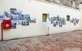 5 triển lãm nghệ thuật mở dịp đầu năm tại Hà Nội khiến người xem mê mẩn