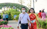 Đường hoa Home Hanoi Xuan 2022 rực rỡ đón du khách ghé thăm