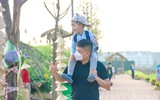 Đường hoa Home Hanoi Xuan 2022 rực rỡ đón du khách ghé thăm