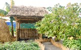 Đường hoa Home Hanoi Xuan 2022 rực rỡ đón du khách ghé thăm