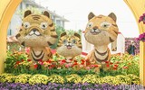 Đường hoa Home Hanoi Xuan 2022 rực rỡ đón du khách ghé thăm