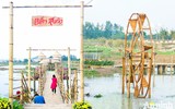 Đường hoa Home Hanoi Xuan 2022 rực rỡ đón du khách ghé thăm