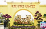 Đường hoa Home Hanoi Xuan 2022 rực rỡ đón du khách ghé thăm