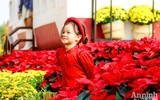 Đường hoa Home Hanoi Xuan 2022 rực rỡ đón du khách ghé thăm