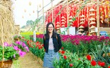 Đường hoa Home Hanoi Xuan 2022 rực rỡ đón du khách ghé thăm
