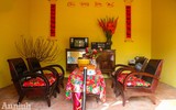 Đường hoa Home Hanoi Xuan 2022 rực rỡ đón du khách ghé thăm