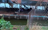Toàn cảnh “nghĩa địa” du thuyền ở hồ Tây, Hà Nội
