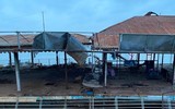 Toàn cảnh “nghĩa địa” du thuyền ở hồ Tây, Hà Nội