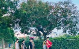 Hà Nội đóng cửa công viên, người dân tấp nập ra vỉa hè, lòng đường tập thể dục
