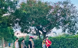 Hà Nội đóng cửa công viên, người dân tấp nập ra vỉa hè, lòng đường tập thể dục