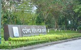 Hoa anh đào Nhật Bản bung nở rực rỡ trong công viên ở Hà Nội