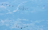 B-52 Mỹ quần thảo ở châu Âu nhằm gửi thông điệp gì tới Nga?