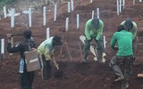Indonesia: Không chịu đeo khẩu trang sẽ phải đi đào mộ cho các nạn nhân Covid-19 