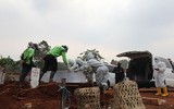 Indonesia: Không chịu đeo khẩu trang sẽ phải đi đào mộ cho các nạn nhân Covid-19 