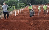 Indonesia: Không chịu đeo khẩu trang sẽ phải đi đào mộ cho các nạn nhân Covid-19 