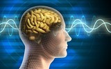 Chính quyền Mỹ bị nghi ém nhẹm “bệnh lạ” ở Cuba, Nga và Trung Quốc 