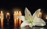 Chuyện thật như đùa về những người từ cõi chết trở về