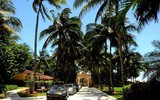 [Ảnh] Tại sao bãi đỗ trực thăng ở khu Mar-a-Lago của ông Donald Trump lại bị phá dỡ? 