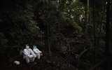 [Ảnh] Đội “thợ săn virus” trên dơi ở Philippines
