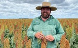 [Ảnh] Không chỉ Covid-19, Australia còn đau đầu với đại dịch chuột sinh sôi