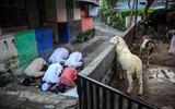 Người Hồi giáo trên thế giới mừng lễ Eid al-Adha trong mùa Covid thứ hai