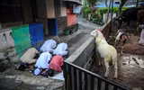 Người Hồi giáo trên thế giới mừng lễ Eid al-Adha trong mùa Covid thứ hai