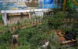 [Ảnh] Bên trong dinh thự của cựu lãnh đạo Afghanistan hiện là nhà của 150 tay súng Taliban
