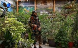 [Ảnh] Bên trong dinh thự của cựu lãnh đạo Afghanistan hiện là nhà của 150 tay súng Taliban