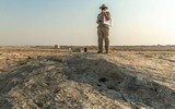 Kỳ bí những bức tranh khắc trên đá ở sa mạc Qatar