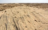 Kỳ bí những bức tranh khắc trên đá ở sa mạc Qatar