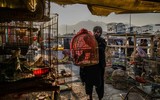 Cuộc sống mưu sinh của người Afghanistan trước nguy cơ đói cùng cực