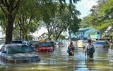 22 dự báo có thể chiêm nghiệm trong năm 2022 