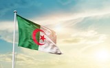 Tìm hiểu nội tình vụ đảo chính lật đổ Tổng thống Niger
