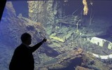 Nhiệm vụ bí mật của hải quân Mỹ giúp phát lộ xác tàu Titanic 38 năm trước