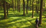 Bằng chứng kỳ lạ nhất từng được sử dụng trong các phiên tòa 